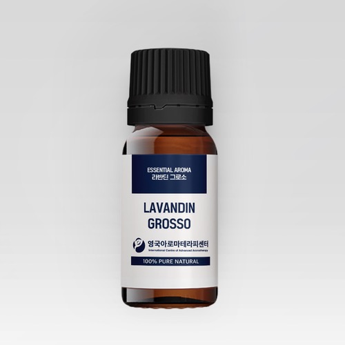 라반딘그로소(Lavandin Grosso / Lavandula x intermedia)