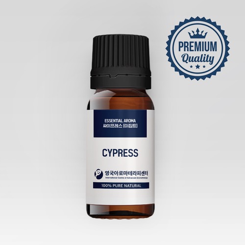 싸이프레스(이집트)(Cypress / Cupressus sempervirens)